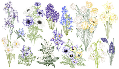Vector set of 14 bouquets of spring flowers. Snowdrops, crocuses, brunnera, tulips, muscari, hyacinths, irises, daffodil, pansies, lily of the valley, anemone, scilla - obrazy, fototapety, plakaty