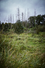 Naturschutzgebiet Pöppelsche Talsystem, Erwitte, Kreis Soest, NRW, Deutschland, 2023