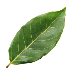 Bay Leaf, transparent background, isolated image, generative AI