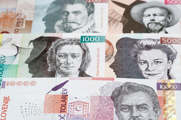 Slovenian tolar a business background