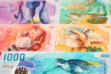 Maldivian rufiyaa a business background