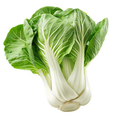 Bok Choy Chinese Cabbage, transparent background, isolated image, generative AI