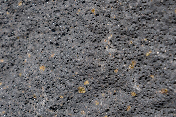 Picrite basalt or picrobasalt is a variety of high-magnesium olivine basalt that is very rich in...
