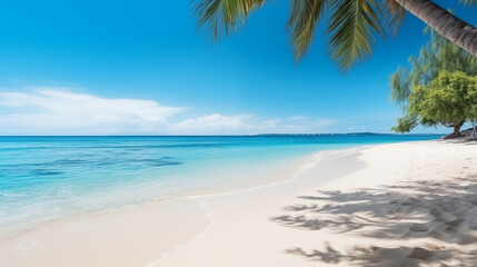  Tropical beach. Summer vacation on a tropical island with beautiful beach and palm trees. Tropical Maldives.