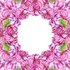 Fototapeta na wymiar Decoration light pink cherry blossom flowers wreath. Watercolor botanical illustration Japanese Sakura flowers in spring. Hand drawn flower buds, petals cherry blossoms