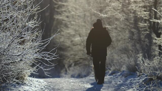 Man and dog taking a winter walk