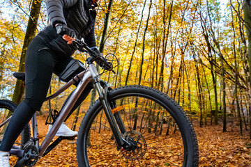Woman riding bicycle in city forest in autumn scenery
- 765606204