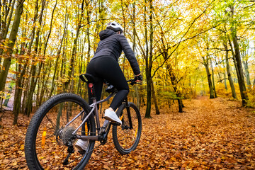 Woman riding bicycle in city forest in autumn scenery
- 765606420