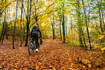 Woman riding bicycle in city forest in autumn scenery
- 765606430