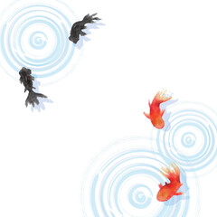 金魚と波紋のベクターイラスト