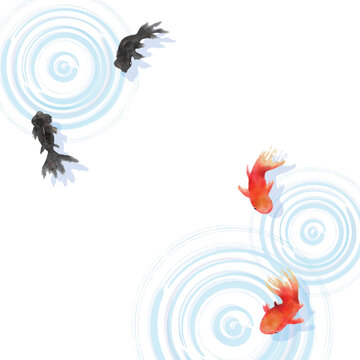 金魚 Images – Browse 20,948 Stock Photos, Vectors, and Video