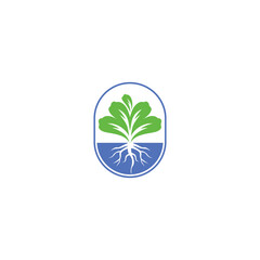 Fresh green Hydroponic logo design