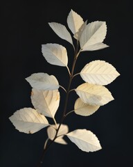 Gentle white leaves on a dark backdrop - A minimalist depiction of artificial white leaves vertically positioned with emphasis on their structure and texture - obrazy, fototapety, plakaty