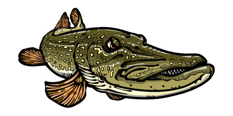 ノーザンパイクE