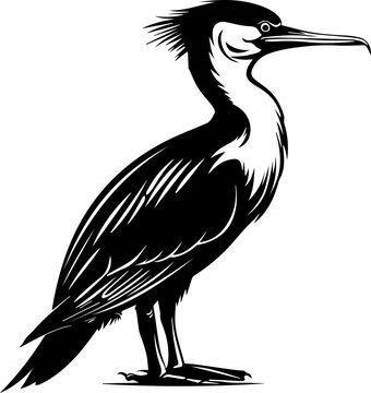 recommend clip art: Stylized Black Cormorant Vector Illustration
                    