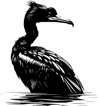 recommend clip art: Stylized Black Cormorant Vector Illustration
                    