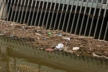 Müll mit Plastik in der Moldau, Umwelt, Verschmutzung, Plastikmüll 