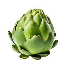 artichoke isolated on white background