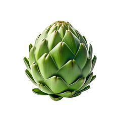 Obraz premium artichoke isolated on white background