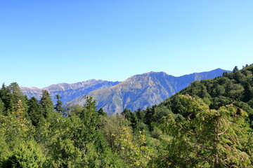In the depths of Llogara National Park in Albania. On the trail in albanian forest