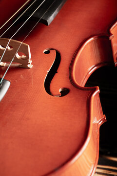 Violin with smoke, beautiful violin covered with a thin smoke screen on rustic wood and black background, selective focus.