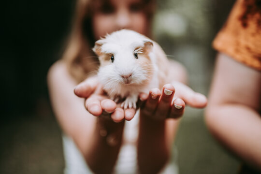 Out of focus image of girl holding her pet guinea pig