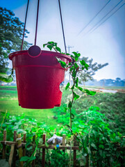 Hanging flower vase 