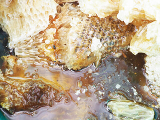 Honeycombs in closeup, Honey, Honeycomb.