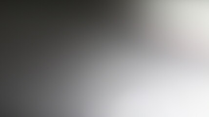 Amaryllis Flower blur depth of field Background