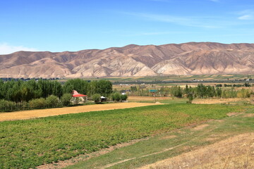 rural landscape in the Chong Kemin National Park in Kyrgyzstan, Central Asia