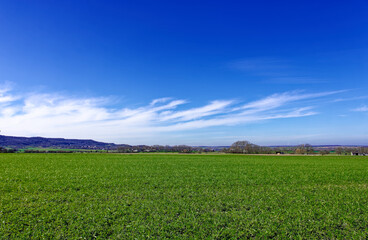 Fototapeta na wymiar Beautiful spring fields of Bavaria