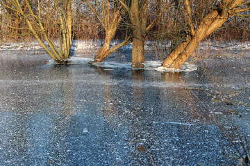 Zimowy widok na zamarzniętą wodę z kawałkami lodu.  - obrazy, fototapety, plakaty