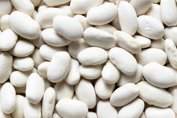 Uncooked dried white haricot beans texture background. Heap of legume haricot bean background ( Phaseolus vulgaris )