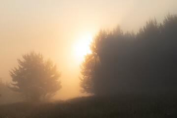 Beautiful summer landscape with the fog lit with a sunrise