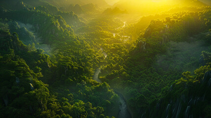 A 3D aerial view of a deep forest valley a small river carving its way through the dense canopy