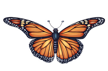 A butterfly with an isolated background