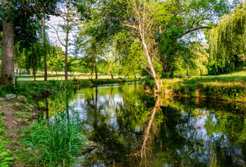 Fototapeta na wymiar Reflection of Tree in Water at Lehigh Parkway Allentown PA