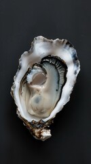 oyster delicacy dish.