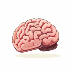 human brain icon over white background vector illus