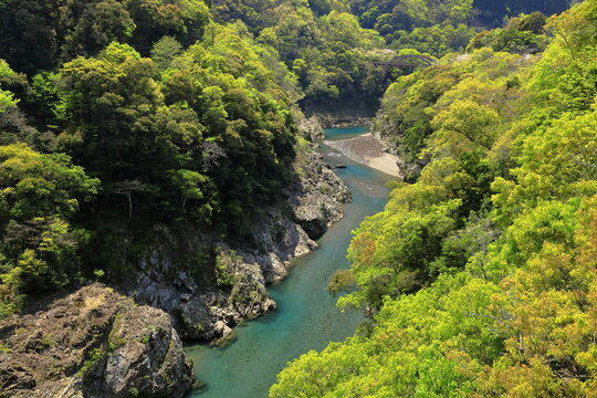 一ツ瀬川、エメラルドグリーンの川色がとってもキレイに山の緑ときれいなコントラスト、宮崎県の山奥から西米良を通り、大きなダム湖と小さなダム湖を経て、杉安峡から平野へ