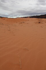 Coral Pink Sand Dunes, Utah