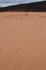 Coral Pink Sand Dunes, Utah