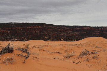 Coral Pink Sand Dunes, Utah