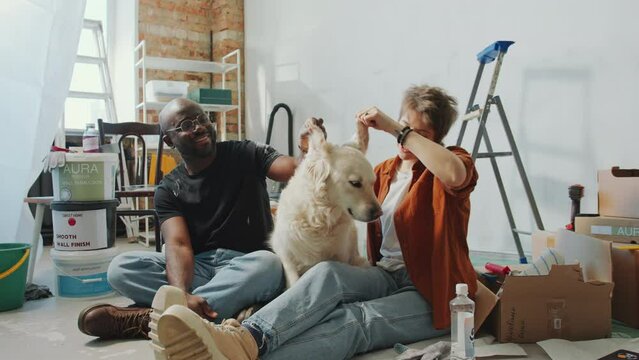 Young diverse couple petting adorable golden retriever dog and smiling when sitting on the floor among boxes, ladder and paint buckets in room under renovation