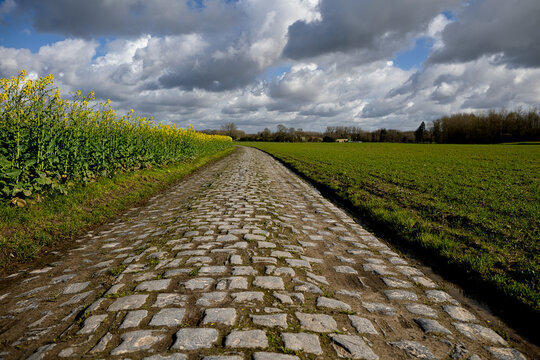 route en pavé emprunté par la course  cycliste du paris Roubaix