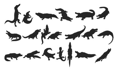 Vector crocodile silhouette on white background - obrazy, fototapety, plakaty