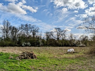 Rural scene of a grass field with a pile of cut branches and a trailer tank, blue sky on the horizon