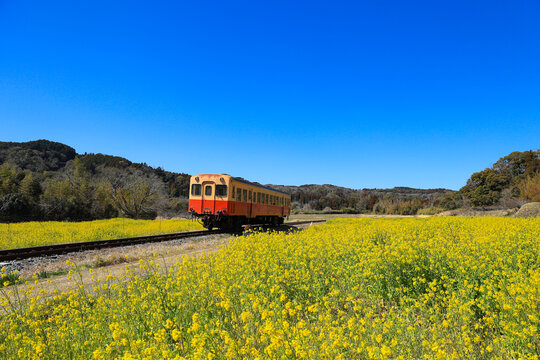 小湊鉄道」の写真素材 | 1,203件の無料イラスト画像 | Adobe Stock 小湊鉄道」の写真素材 | 1,203件の無料イラスト画像 | Adobe Stock