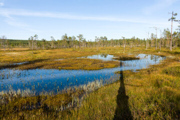 Blick &uuml;ber den Hamra Nationalpark in Schweden im Herbst