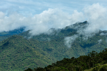 Misty cloud forest in the foothills of the Chiriqui highlands in Baru volcano, Panama, Central...